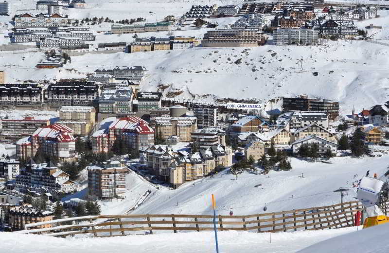 Sabica Sierra Nevada